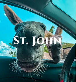 private jeep tour in St. John, USVI